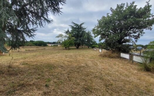 Référence 2338 – Terrain Constructible