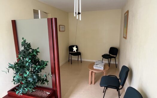 Référence 2471 – Local professionnel